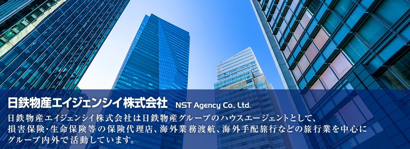 日鉄物産エイジェンシイ株式会社